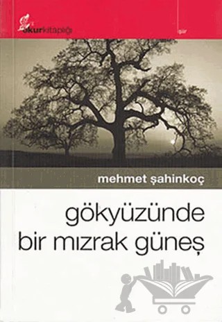 Gökyüzünde Bir Mızrak Güneş – Mehmet Şahinkoç – Okur Kitaplığı kitap kapağı