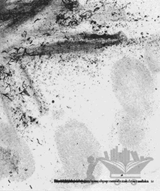 İz – Aysel Gülle – İkinci Adam Yayınları kitap kapağı