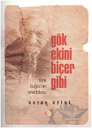 Gök Ekini Biçer Gibi – Nuran Özlük – Paradoks Yayınları kitap kapağı