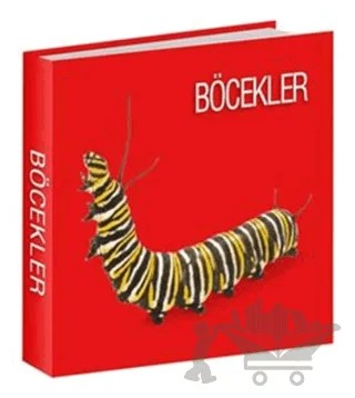 Böcekler – Kolektif – Koleksiyon Yayıncılık kitap kapağı