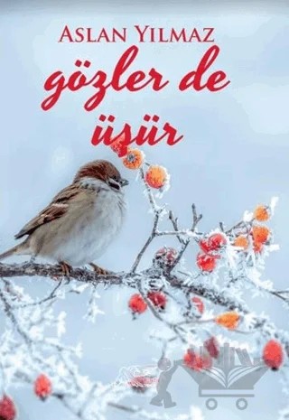 Gözler de Üşür – Aslan Yılmaz – Kuytu Yayınları kitap kapağı