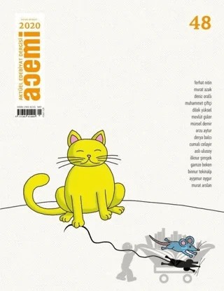 Acemi Aktüel Edebiyat Dergisi Sayı 48 – Acemi Dergisi kitap kapağı