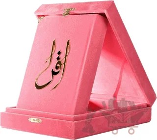 Kuranı Kerim Hafız Boy Kadife Kutulu Pembe – Kolektif – Türkiye Diyanet Vakfı Yayınları kitap kapağı