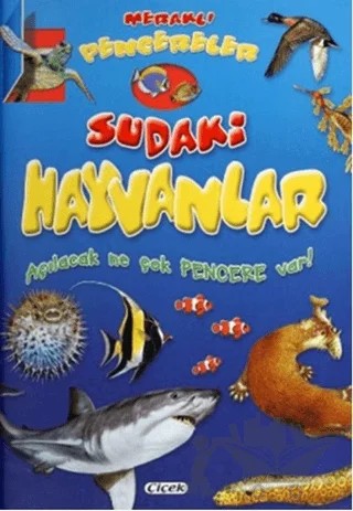 Meraklı Pencereler - Sudaki Hayvanlar – Kolektif – Çiçek Yayıncılık kitap kapağı