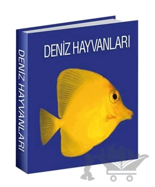 Deniz Hayvanları – Kolektif – Koleksiyon Yayıncılık kitap kapağı