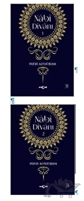 Nabi Divanı (2 Kitap Takım) – Ali Fuat Bilkan – Akçağ Yayınları kitap kapağı