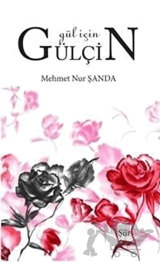 Gül İçin Gülçin – Mehmet Nur Şanda – Zinde Yayıncılık kitap kapağı