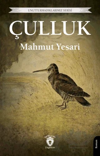 Çulluk – Mahmut Yesari – Dorlion Yayınları kitap kapağı
