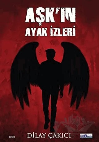 Aşkın Ayak İzleri – Dilay Çakıcı – Favori Yayınları kitap kapağı