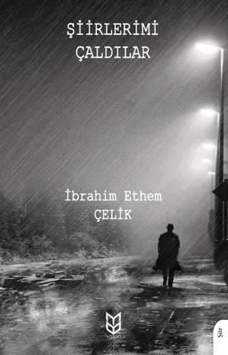 Şiirlerimi Çaldılar – İbrahim Ethem Çelik – Yason Yayıncılık kitap kapağı