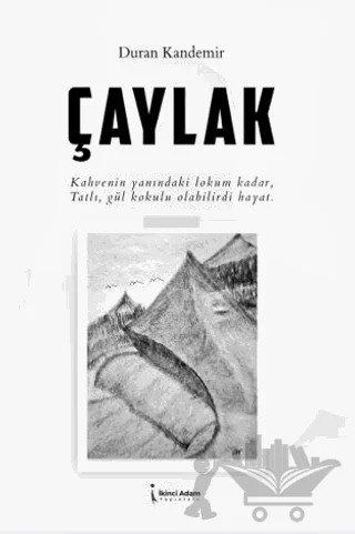 Çaylak – Duran Kandemir – İkinci Adam Yayınları kitap kapağı