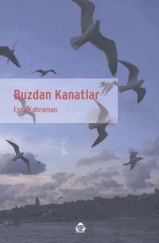Buzdan Kanatlar – Esra Kahraman – Alan Yayıncılık kitap kapağı