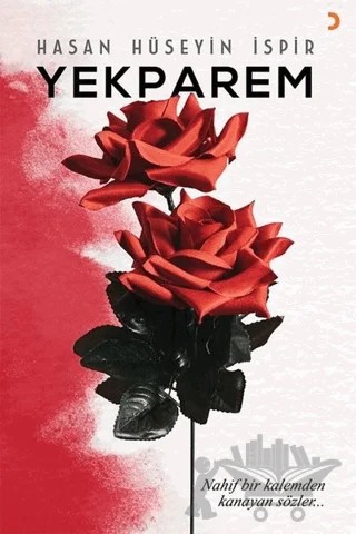 Yekparem – Hasan Hüseyin İspir – Cinius Yayınları kitap kapağı