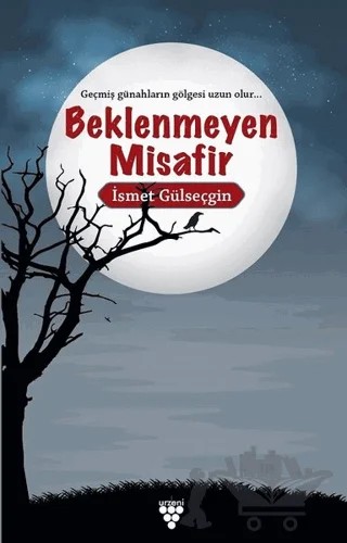 Beklenmeyen Misafir – İsmet Gülseçgin – Urzeni Yayıncılık kitap kapağı