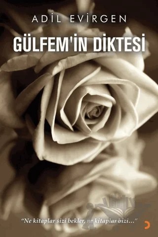 Gülfem’in Diktesi – Adil Evirgen – Cinius Yayınları kitap kapağı
