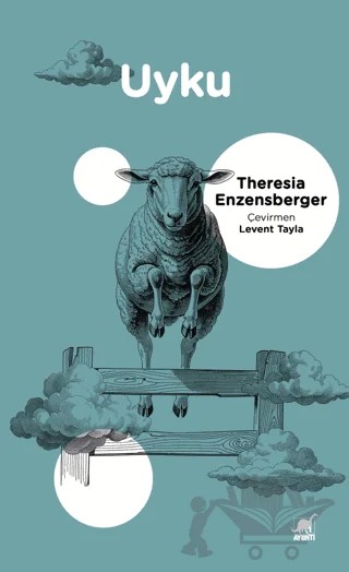 Uyku – Theresia Enzensberger – Ayrıntı Yayınları kitap kapağı