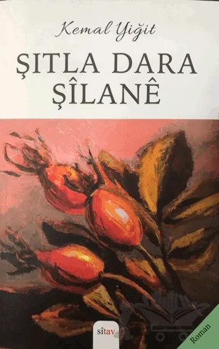 Şıtla Dara Şilane – Kemal Yiğit – Sitav Yayınevi kitap kapağı