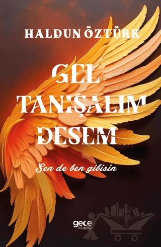 Gel Tanışalım Desem-Sen de Ben Gibisin – Haldun Öztürk – Gece Kitaplığı kitap kapağı