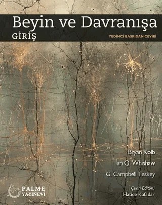 Beyin ve Davranışa Giriş – Kolektif – Palme Yayıncılık kitap kapağı