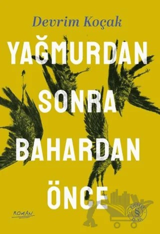 Yağmurdan Sonra Bahardan Önce – Devrim Koçak – Everest Yayınları kitap kapağı