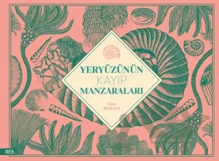 Yeryüzünün Kayıp Manzaraları – Aina Bestard – Mea Kitap kitap kapağı