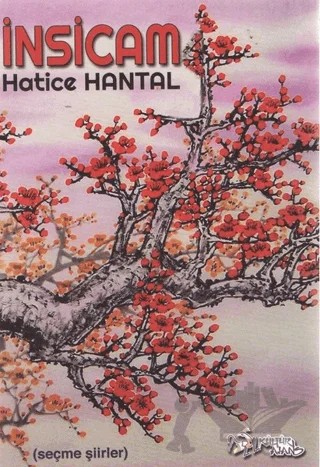 İnsicam – Hatice Hantal – Kültür Ajans Yayınları kitap kapağı