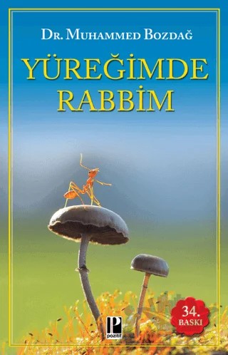 Yüreğimde Rabbim – Muhammed Bozdağ – Pozitif Yayınları kitap kapağı