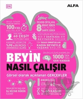 Beyin Nasıl Çalışır – Kolektif – Alfa Yayınları kitap kapağı
