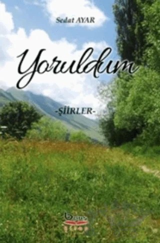 Yoruldum - Şiirler – Sedat Ayar – Barış Kitap kitap kapağı