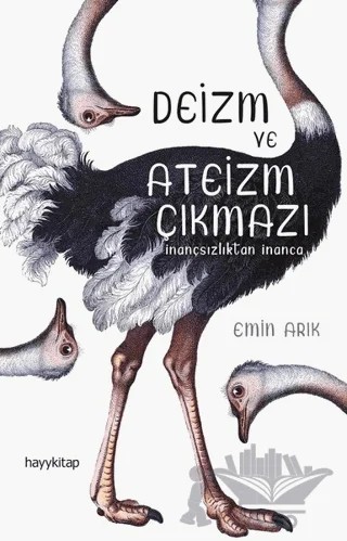 Deizm ve Ateizm Çıkmazı – Emin Arık – Hayykitap kitap kapağı