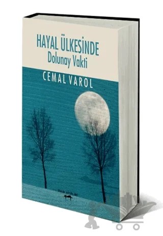 Hayal Ülkesinde Dolunay Vakti – Cemal Varol Tok – Sokak Kitapları Yayınları kitap kapağı