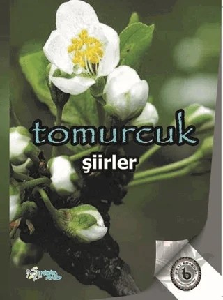 Tomurcuk – İbrahim Bekler – Kültür Ajans Yayınları kitap kapağı