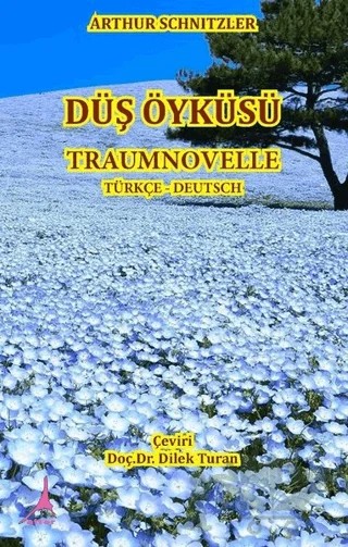 Düş Öyküsü - Traumnovelle – Arthur Schnitzler – Alter Yayıncılık kitap kapağı
