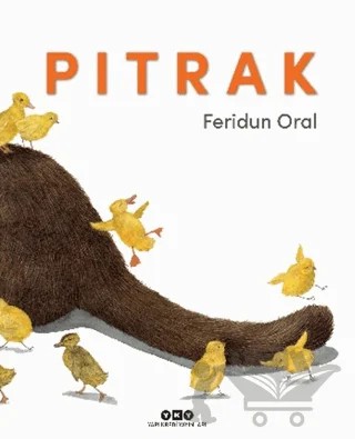 Pıtrak – Feridun Oral – Yapı Kredi Yayınları kitap kapağı