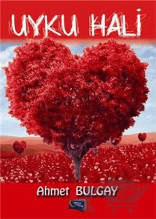 Uyku Hali – Ahmet Bulgay – Gece Kitaplığı kitap kapağı