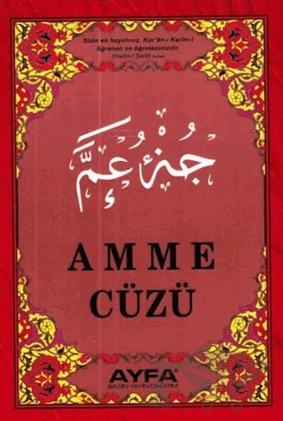 Amme Cüzü - Kod 019 – Kolektif – Ayfa Basın Yayın kitap kapağı