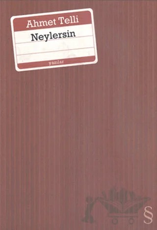 Neylersin – Ahmet Telli – Everest Yayınları kitap kapağı