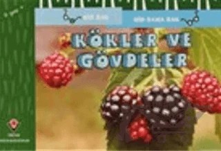 Kökler ve Gövdeler - Bir Bak Bir Daha Bak – David M. Schwartz, Marilyn Marks – TÜBİTAK Yayınları kitap kapağı