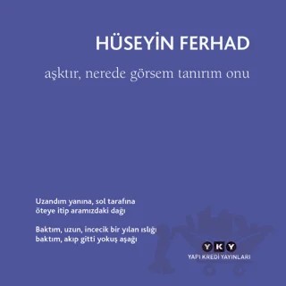 Aşktır, Nerede Görsem Tanırım Onu – Hüseyin Ferhad – Yapı Kredi Yayınları kitap kapağı