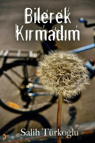 Bilerek Kırmadım – Salih Türkoğlu – Cinius Yayınları kitap kapağı
