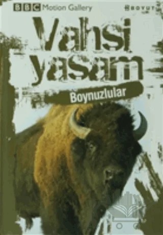 Vahşi Yaşam-Boynuzlular – Amy-Jane Beer, Pat Morris – Boyut Yayın Grubu kitap kapağı