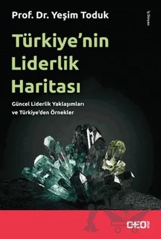 Türkiye’nin Liderlik Haritası – Yeşim Toduk – CEO Plus kitap kapağı