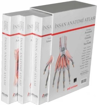 İnsan Anatomisi Atlası - 3 CİLT – Tacchetti, Anastasi – Atlas Yayınevi kitap kapağı