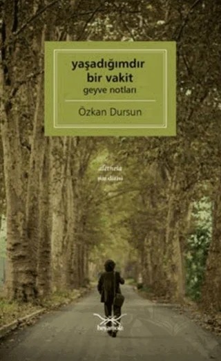 Yaşadığımdır Bir Vakit Geyve Notları – Özkan Dursun – Heyamola Yayınları kitap kapağı