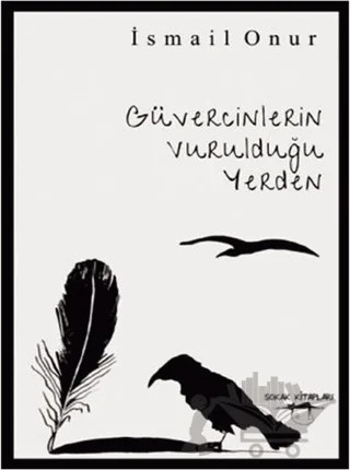 Güvercinlerin Vurulduğu Yerden – İsmail Onur – Sokak Kitapları Yayınları kitap kapağı