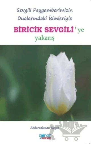 Biricik Sevgili'ye Yakarış – Abdurrahman Neşeli – Gülnar Yayınları kitap kapağı