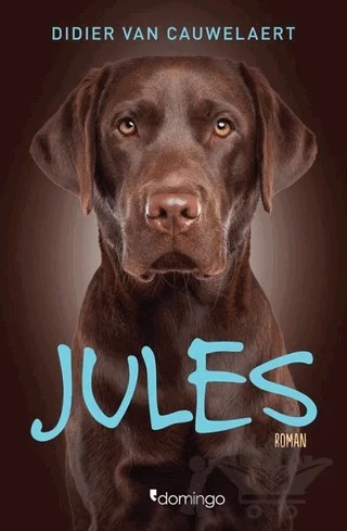 Jules – Didier von Cauwelaert – Domingo Yayınevi kitap kapağı