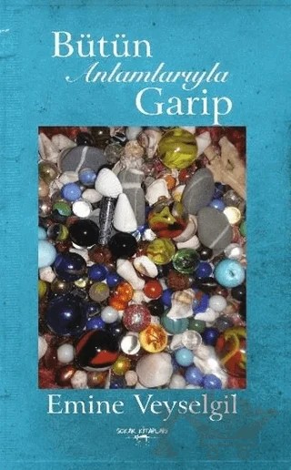 Bütün Anlamlarıyla Garip – Emine Veyselgil – Sokak Kitapları Yayınları kitap kapağı