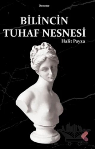 Bilincin Tuhaf Nesnesi – Halit Payza – Klaros Yayınları kitap kapağı