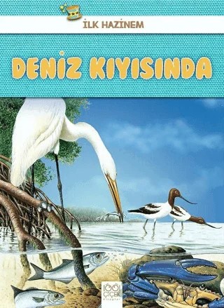 Deniz Kıyısında - İlk Hazinem – Denise Ryan – 1001 Çiçek Kitaplar kitap kapağı
